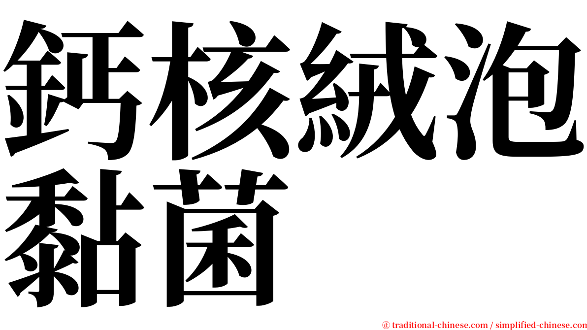 鈣核絨泡黏菌 serif font