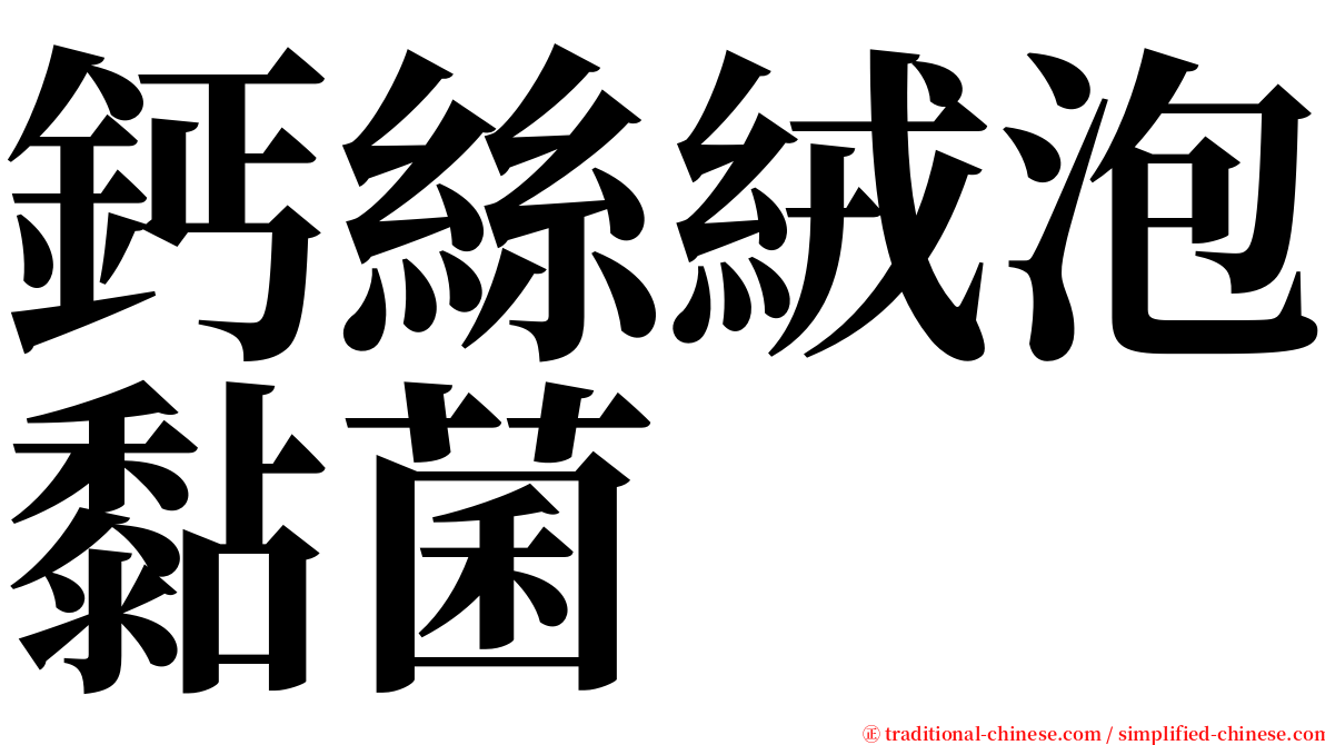 鈣絲絨泡黏菌 serif font