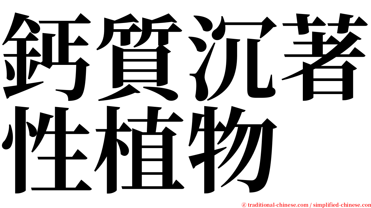 鈣質沉著性植物 serif font