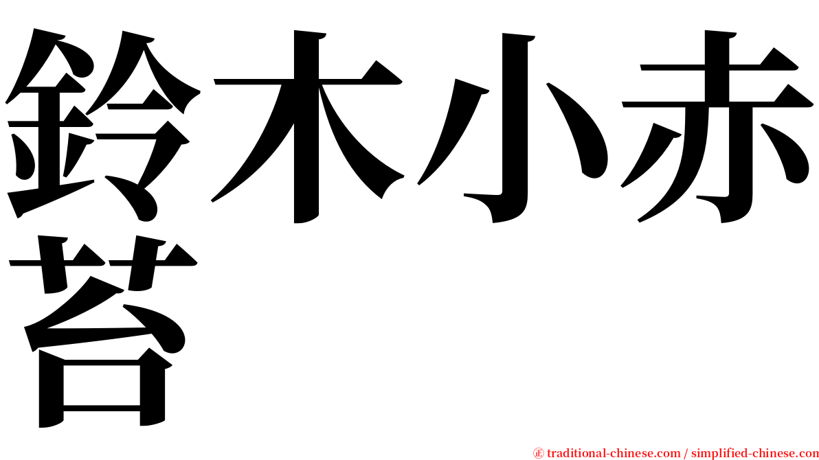 鈴木小赤苔 serif font