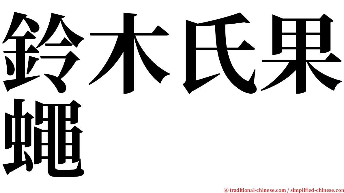 鈴木氏果蠅 serif font