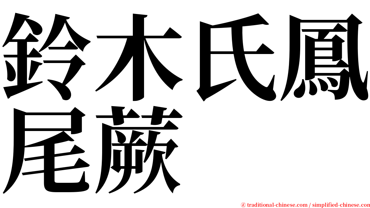 鈴木氏鳳尾蕨 serif font