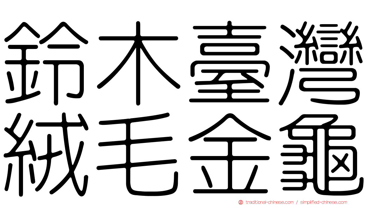 鈴木臺灣絨毛金龜