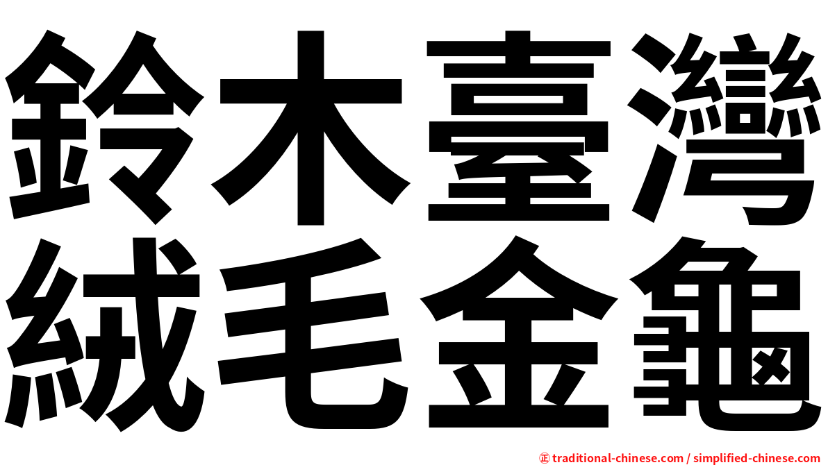 鈴木臺灣絨毛金龜