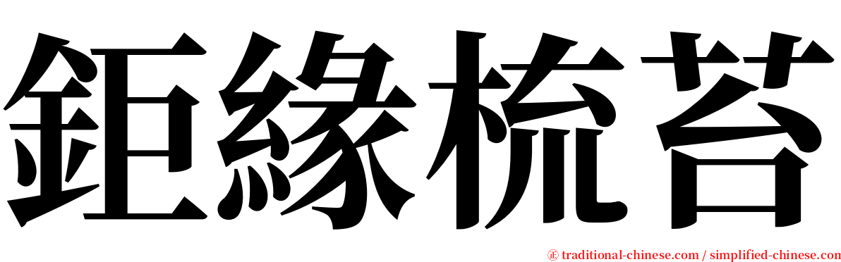 鉅緣梳苔 serif font