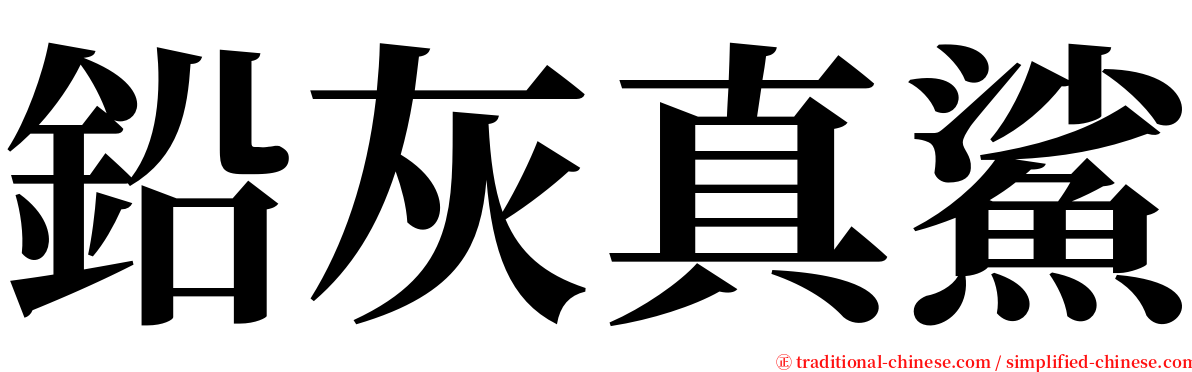 鉛灰真鯊 serif font