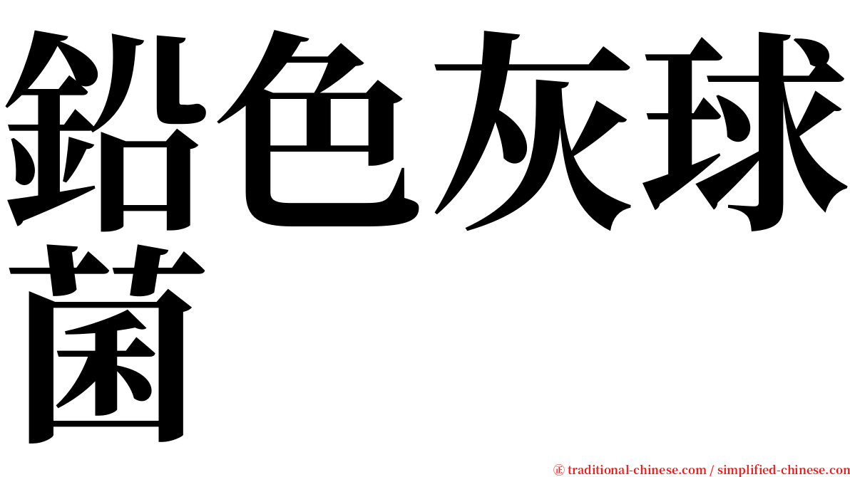 鉛色灰球菌 serif font