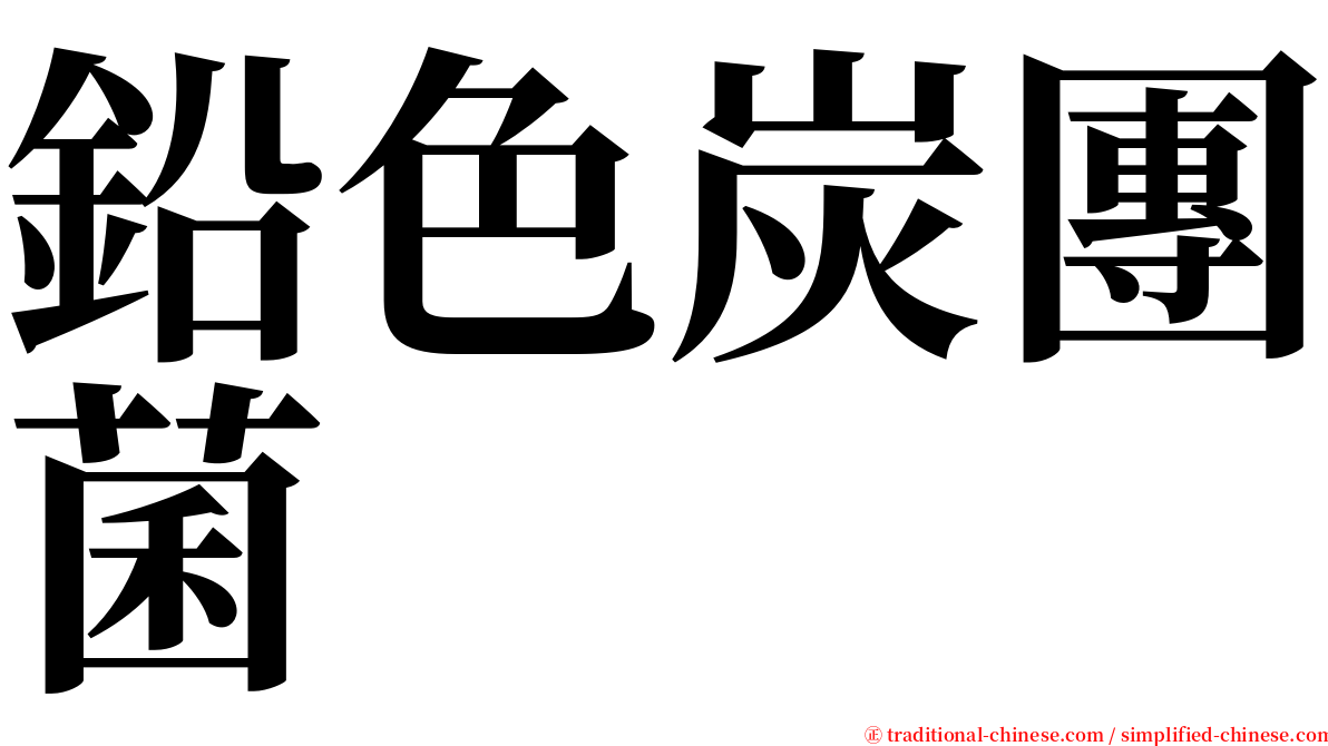 鉛色炭團菌 serif font