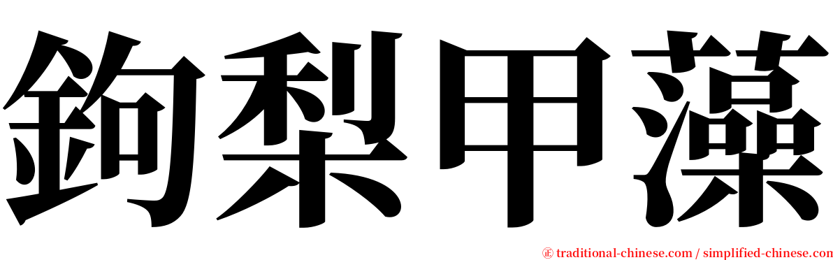 鉤梨甲藻 serif font