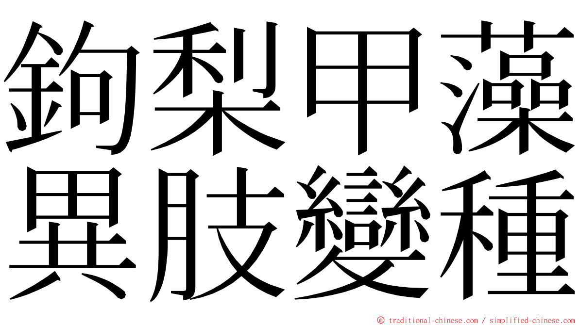 鉤梨甲藻異肢變種 ming font