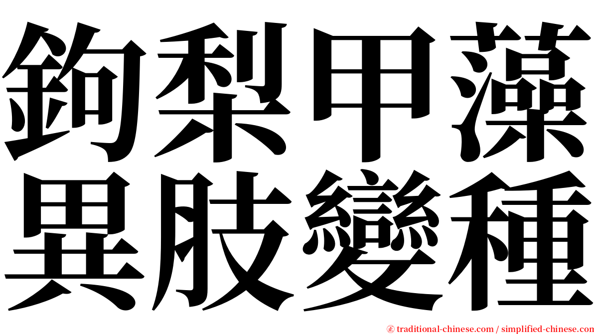 鉤梨甲藻異肢變種 serif font