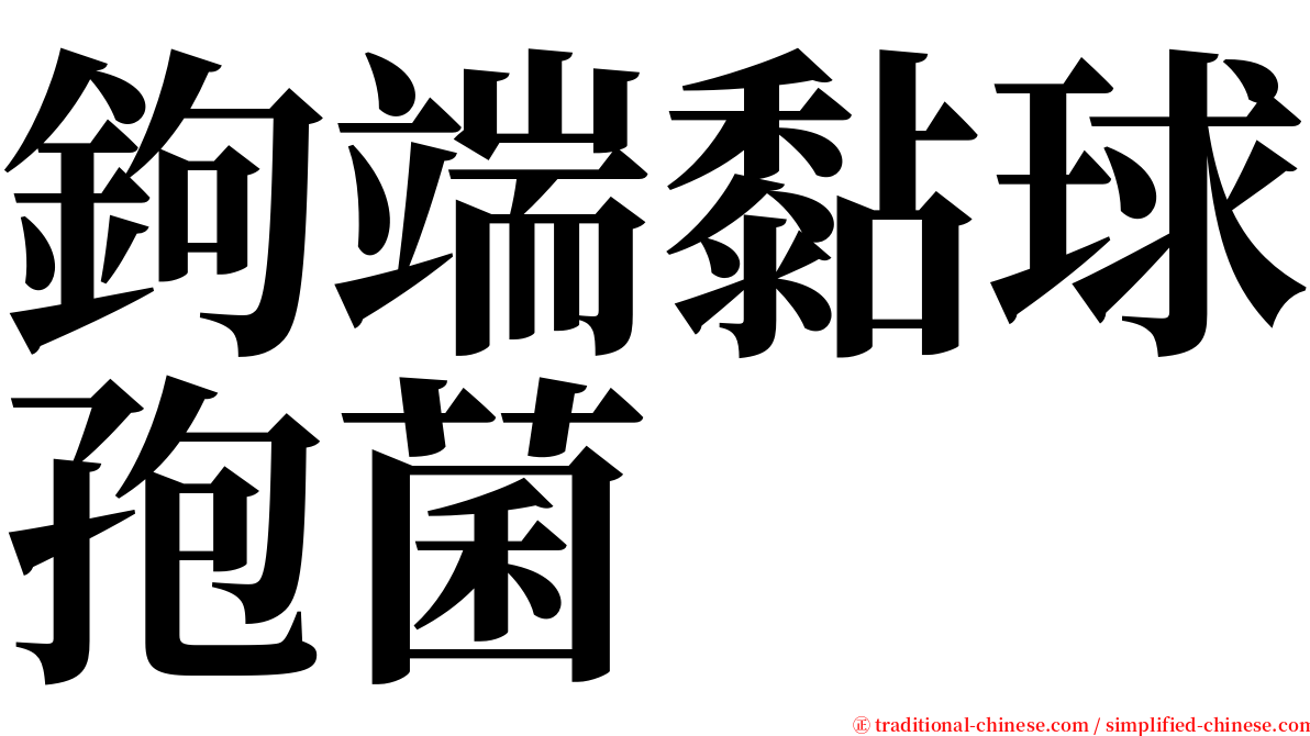 鉤端黏球孢菌 serif font