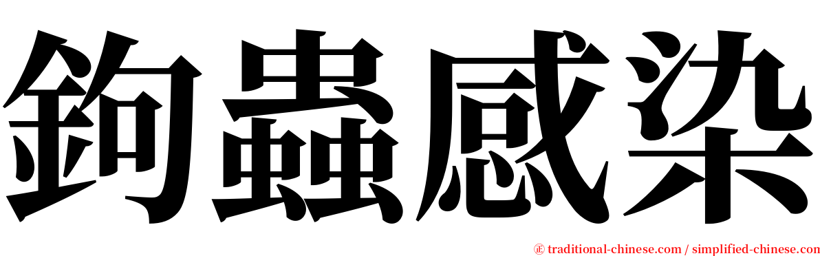 鉤蟲感染 serif font