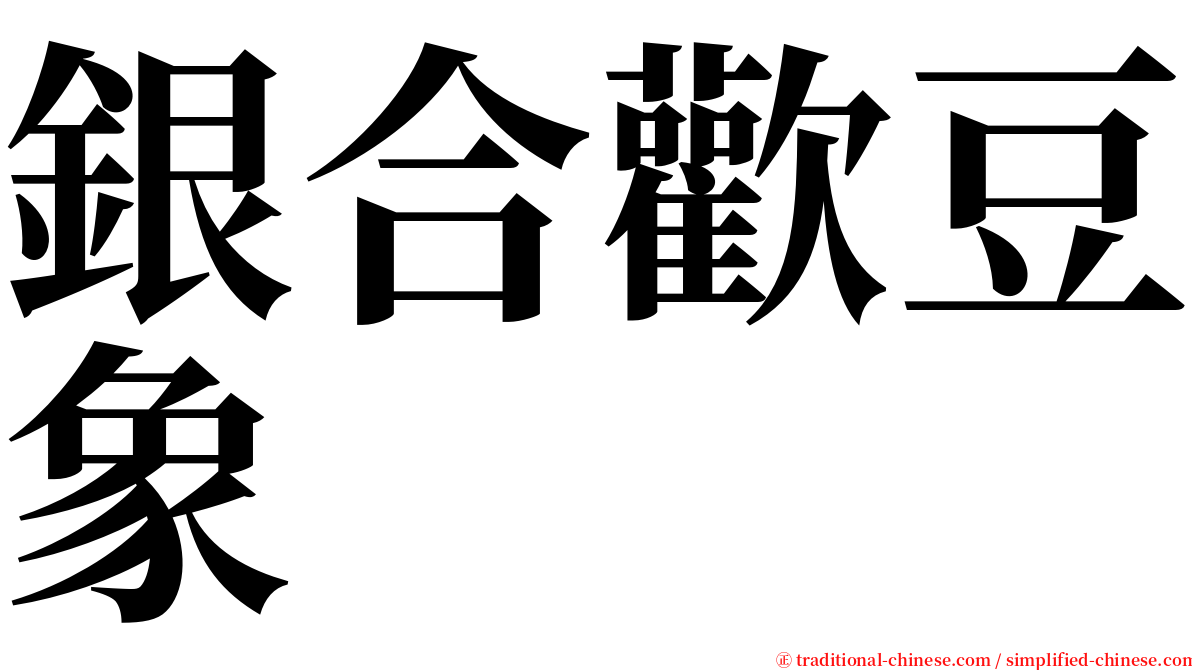 銀合歡豆象 serif font