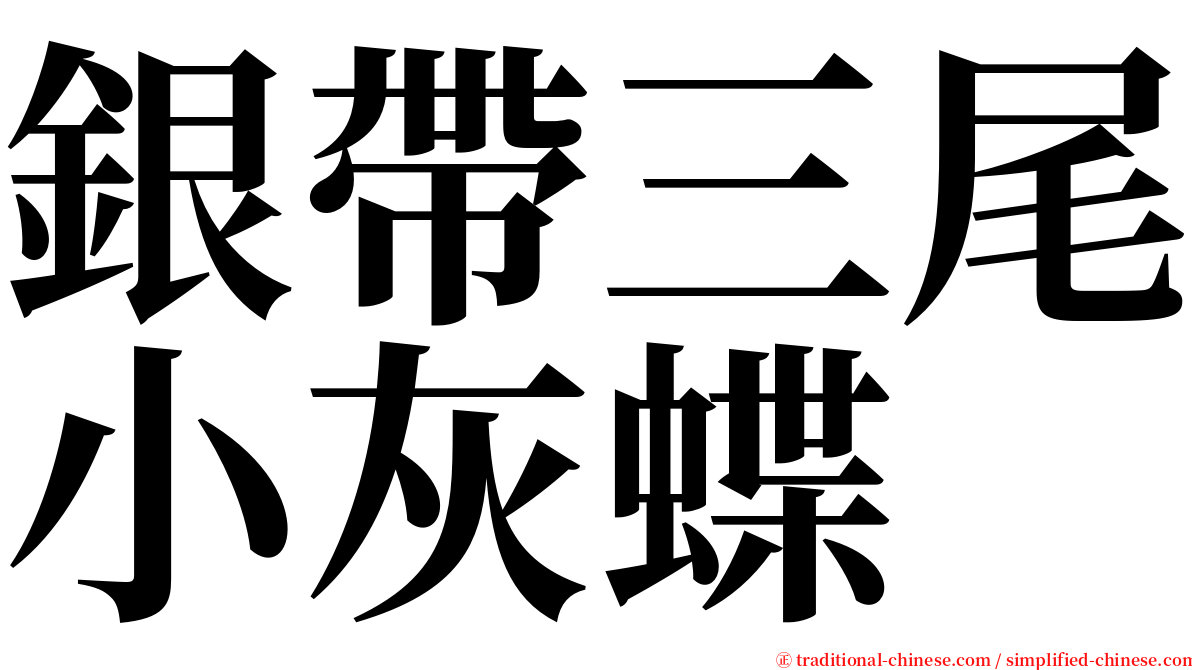 銀帶三尾小灰蝶 serif font