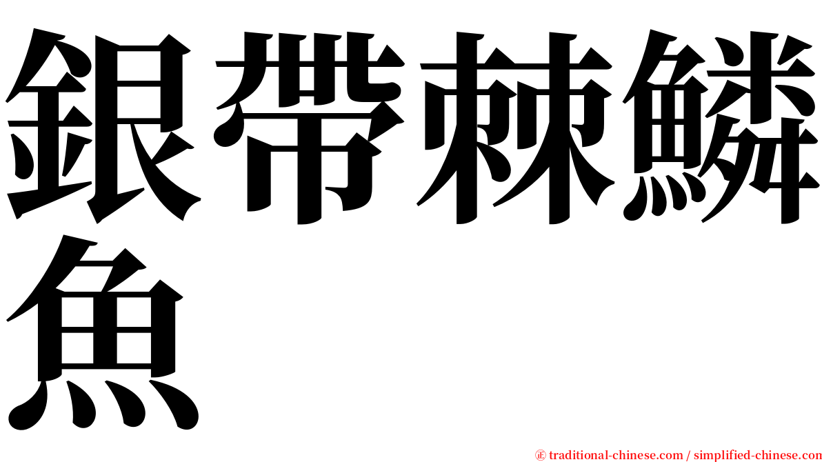 銀帶棘鱗魚 serif font