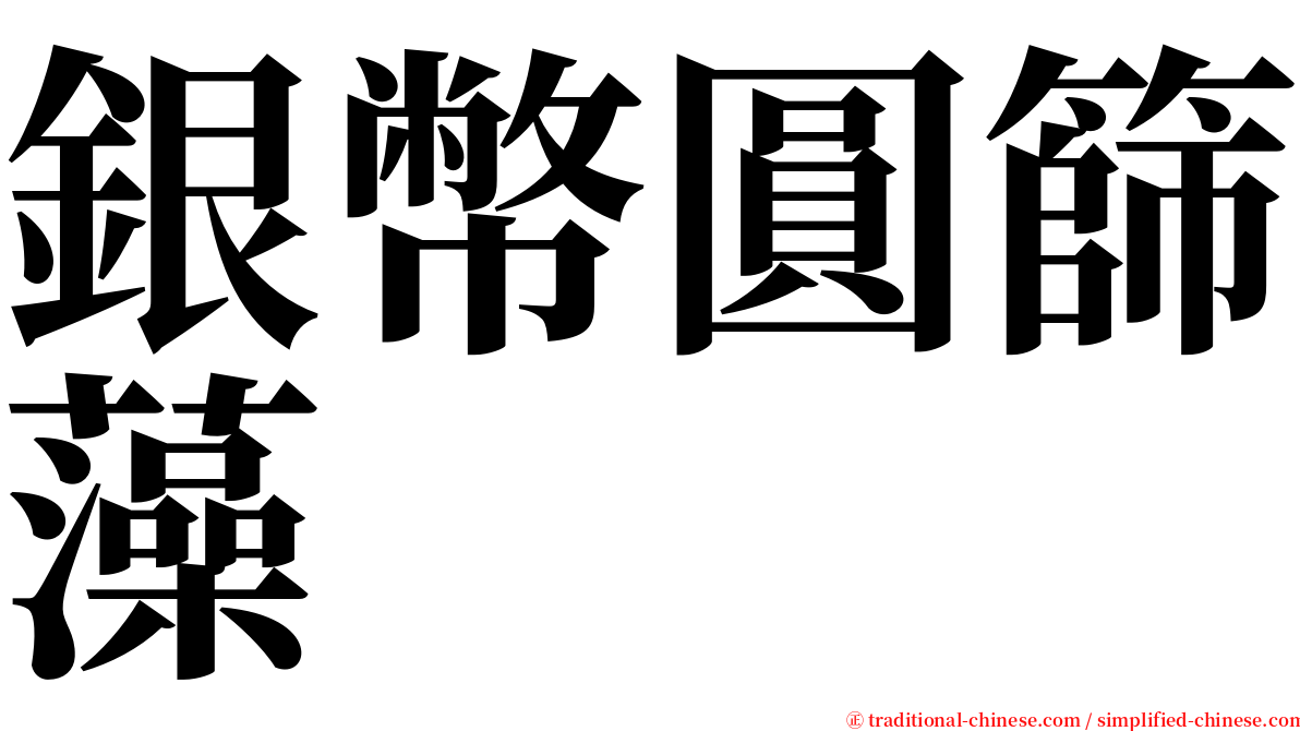 銀幣圓篩藻 serif font