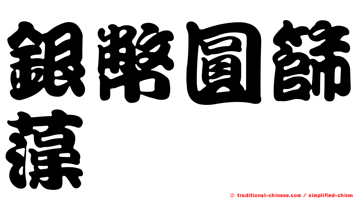 銀幣圓篩藻