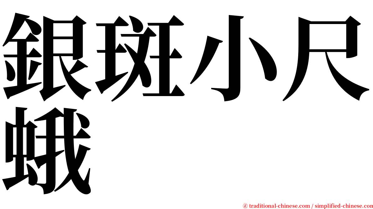 銀斑小尺蛾 serif font