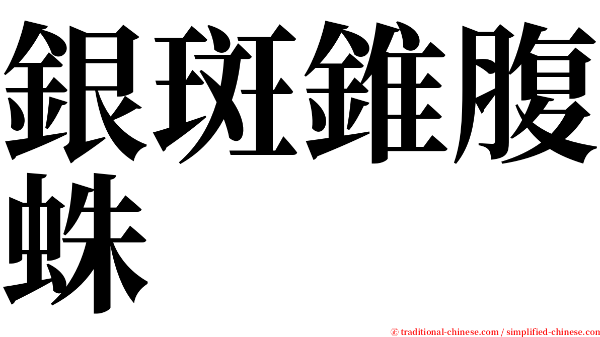 銀斑錐腹蛛 serif font