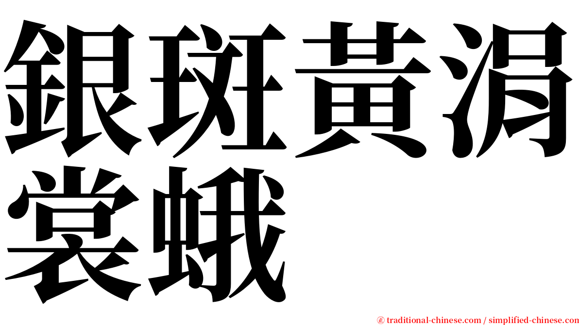 銀斑黃涓裳蛾 serif font