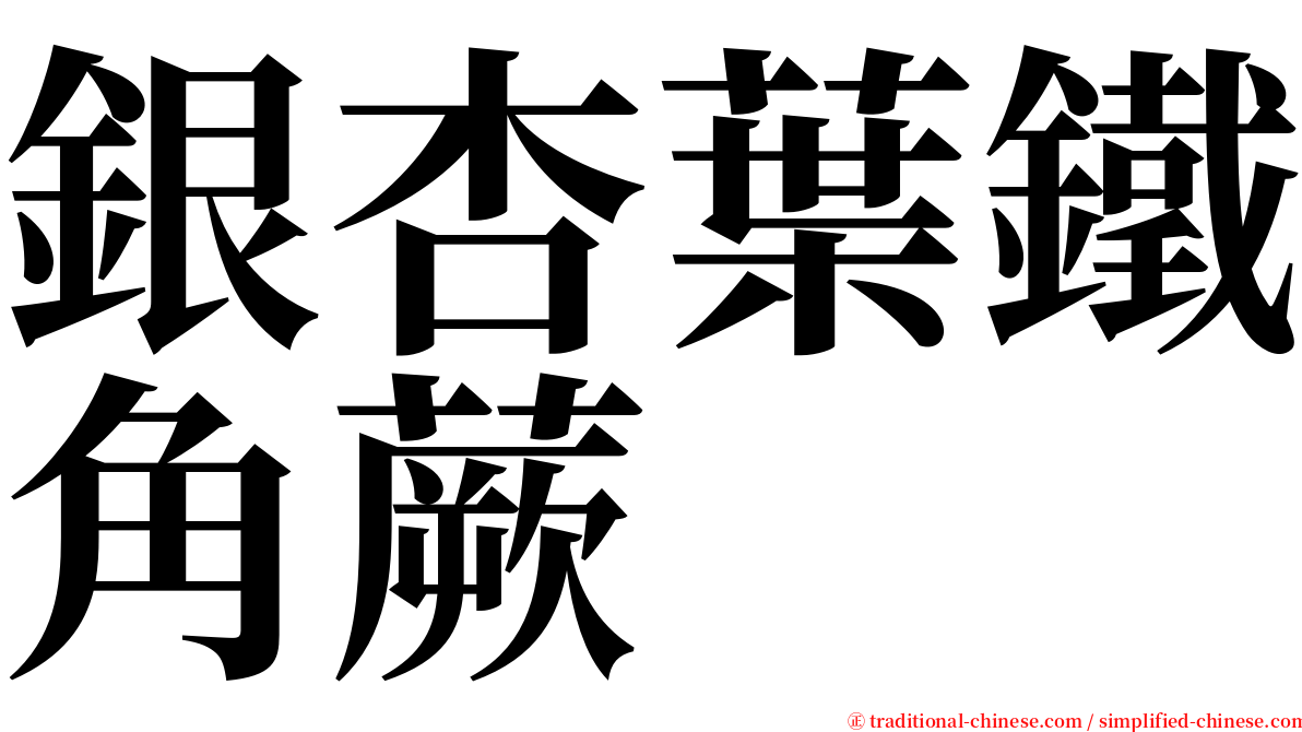 銀杏葉鐵角蕨 serif font