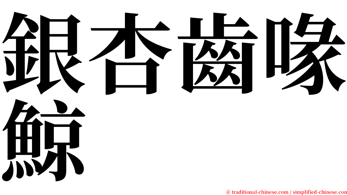 銀杏齒喙鯨 serif font