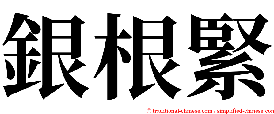 銀根緊 serif font