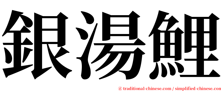 銀湯鯉 serif font