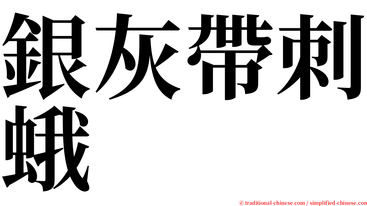 銀灰帶刺蛾 serif font