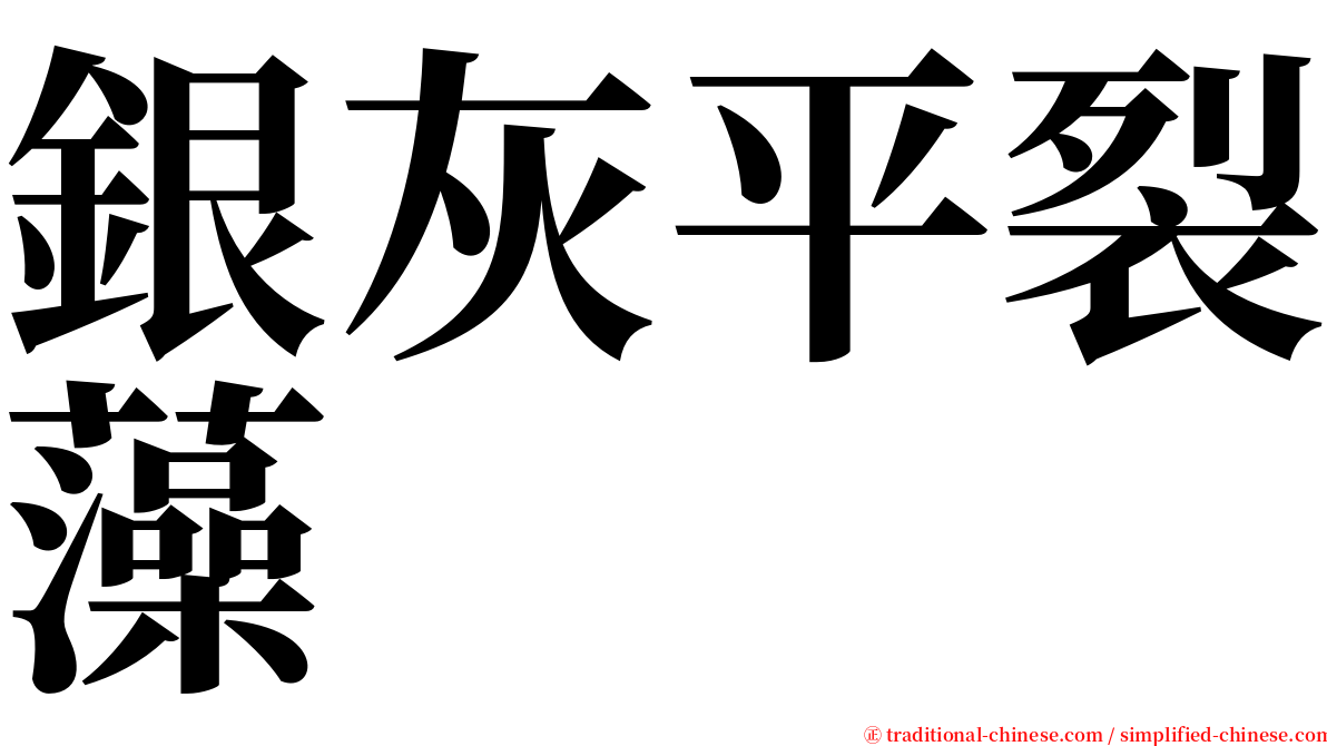 銀灰平裂藻 serif font