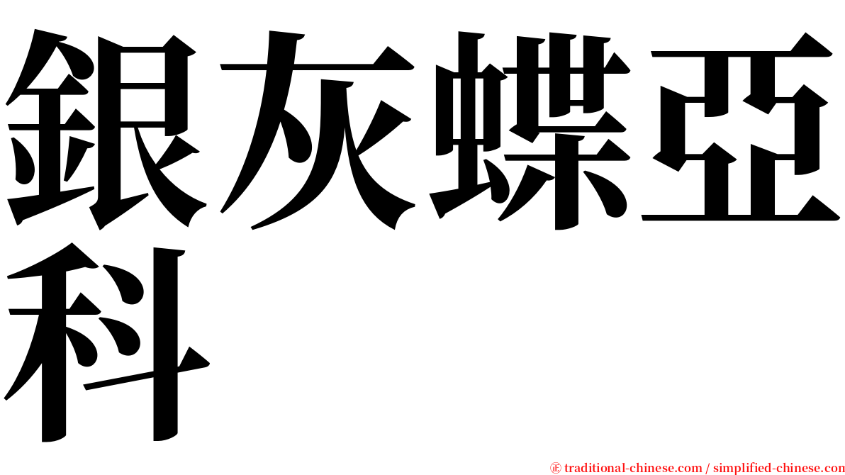 銀灰蝶亞科 serif font