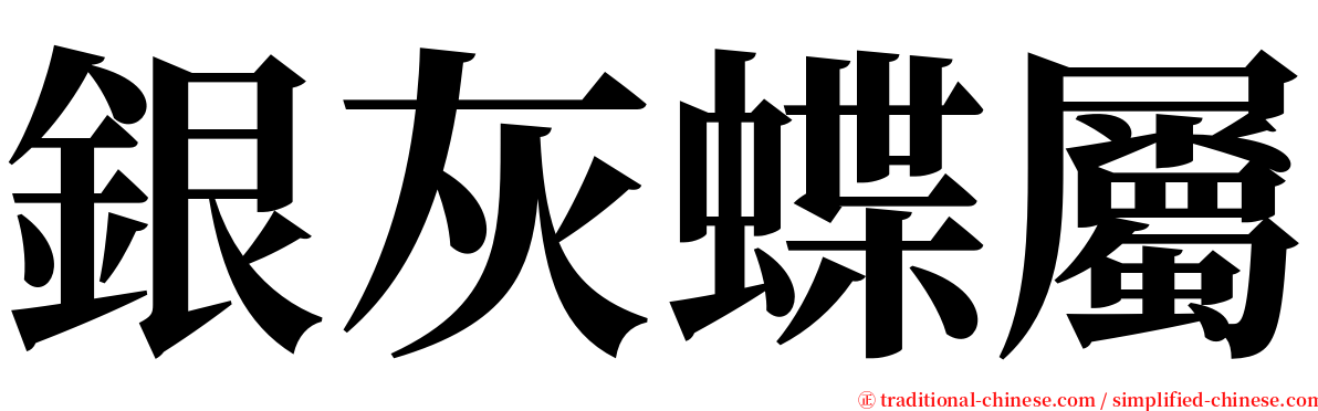 銀灰蝶屬 serif font