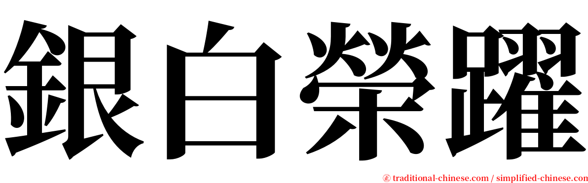 銀白榮躍 serif font