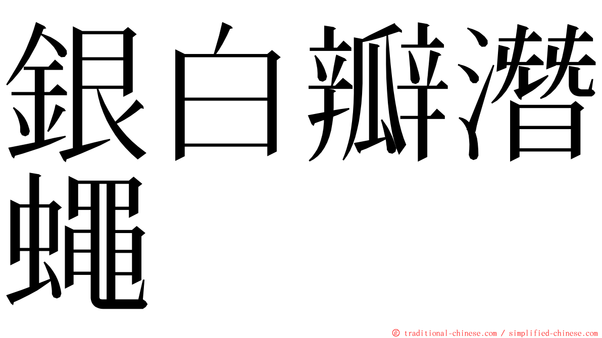 銀白瓣潛蠅 ming font