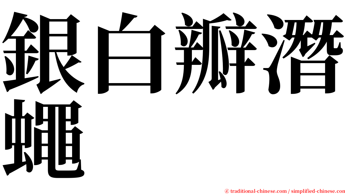 銀白瓣潛蠅 serif font