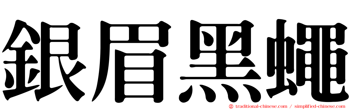 銀眉黑蠅