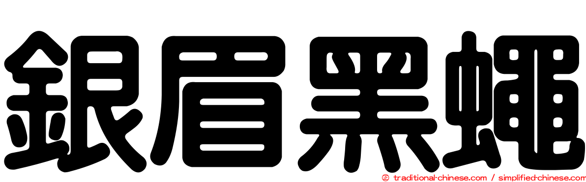 銀眉黑蠅