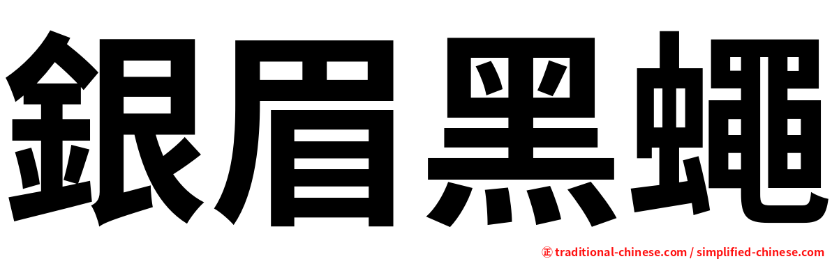 銀眉黑蠅