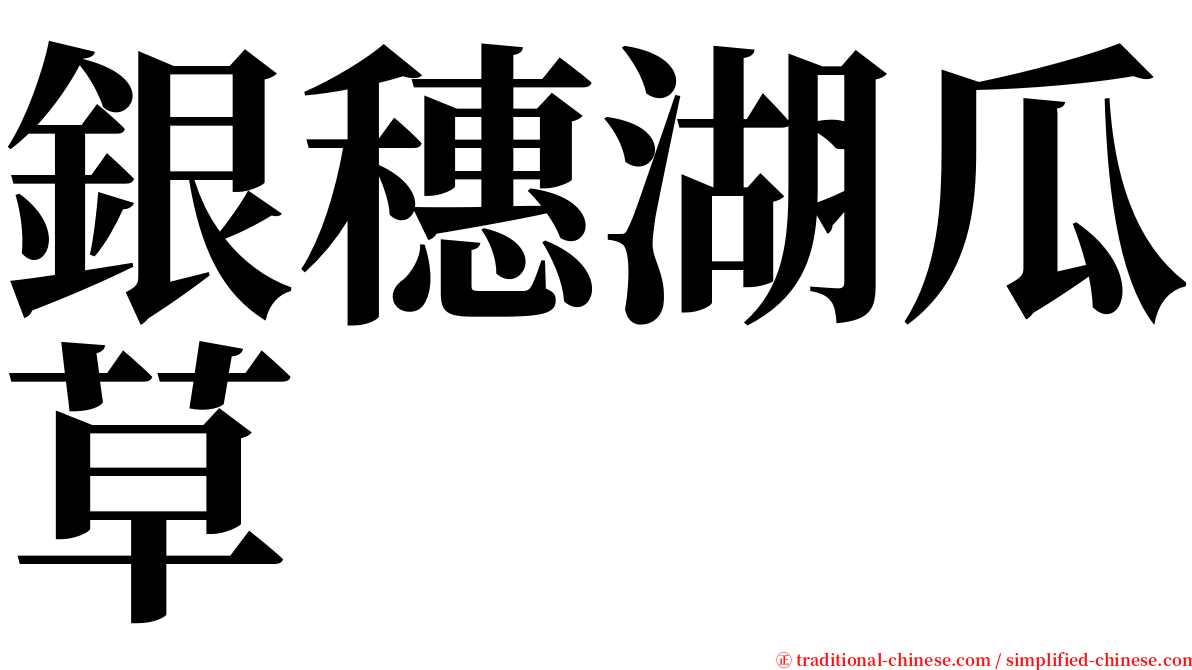 銀穗湖瓜草 serif font