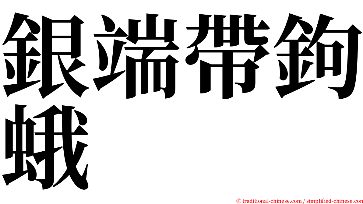 銀端帶鉤蛾 serif font