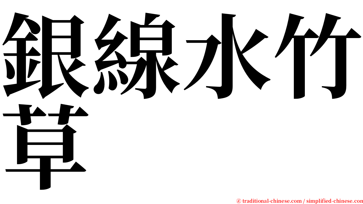 銀線水竹草 serif font