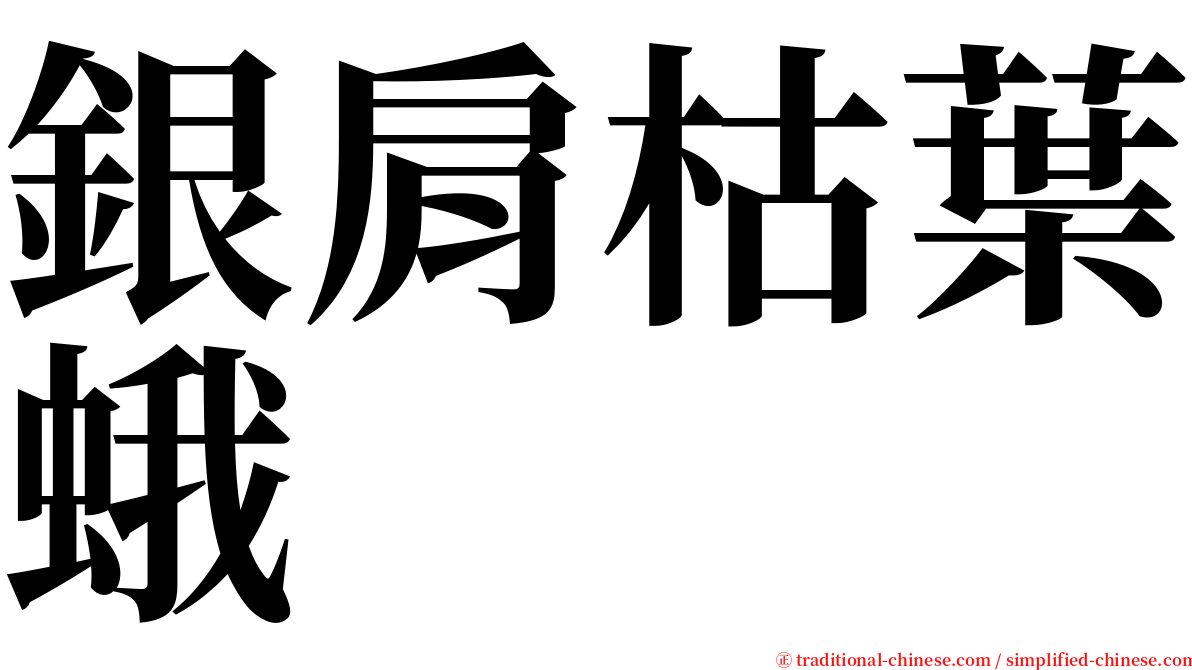 銀肩枯葉蛾 serif font