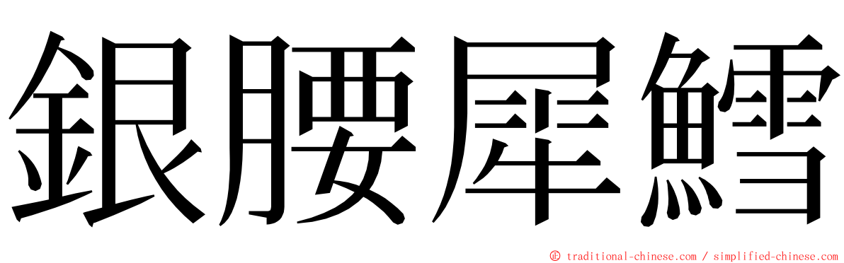 銀腰犀鱈 ming font