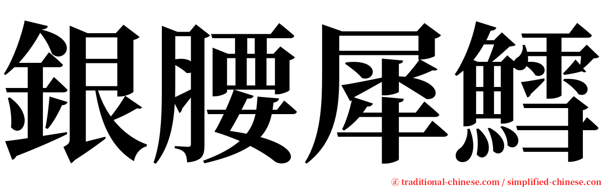 銀腰犀鱈 serif font