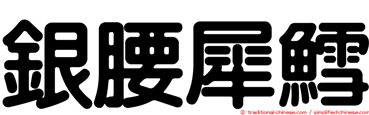 銀腰犀鱈