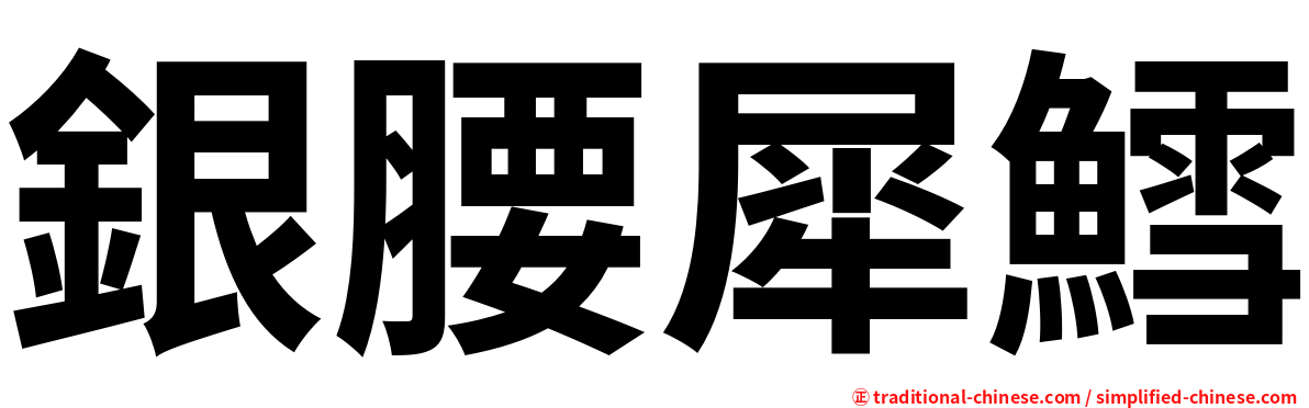 銀腰犀鱈