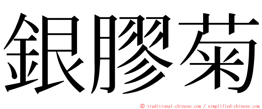 銀膠菊 ming font