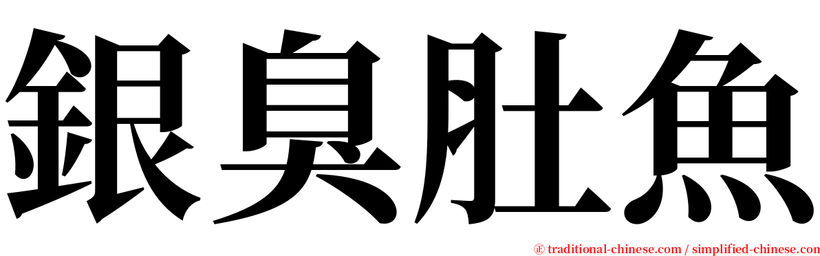 銀臭肚魚 serif font