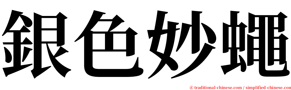 銀色妙蠅 serif font